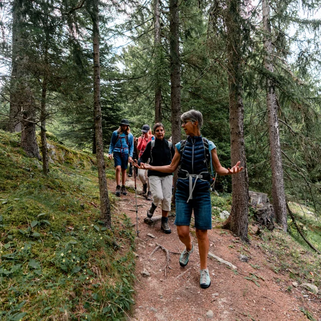 Tours accompagnés dans la région de Verbier
