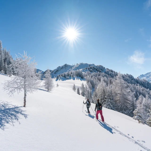 Sortie en ski de randonnée sur le parcours Moay - La Pasay