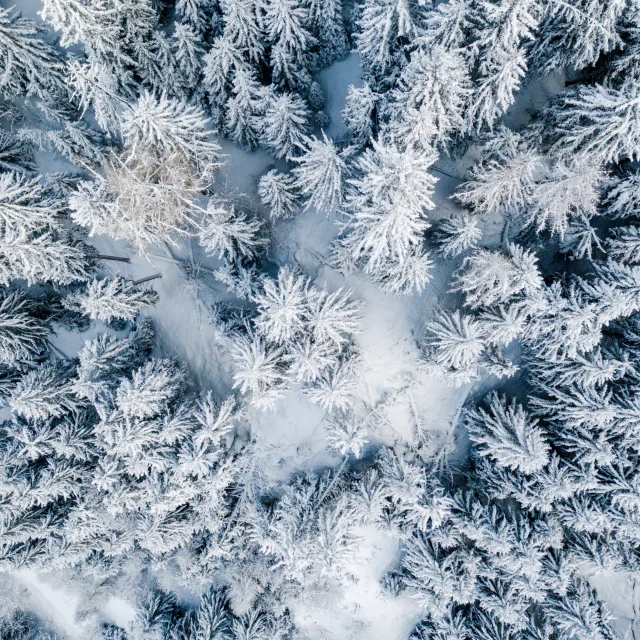 RAPHAELSURMONT030320DJI_0074.jpg