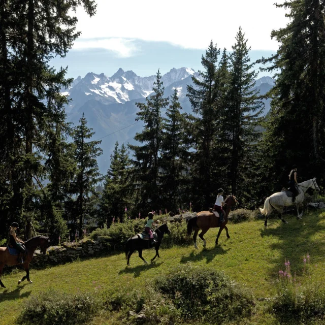 Centre Equestre @verbier Promotion