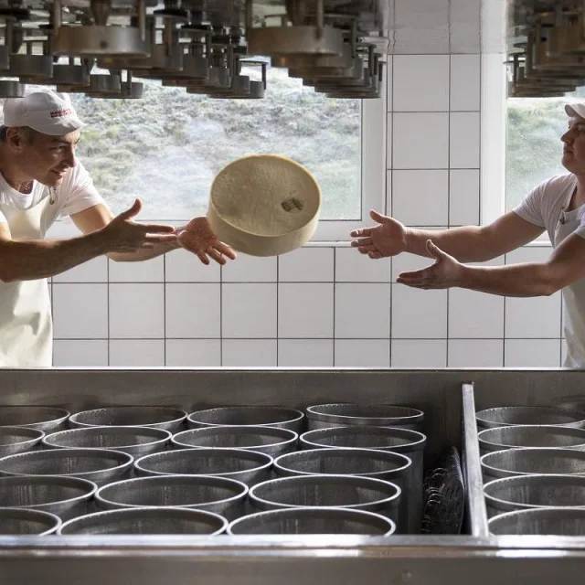 De La Vache Au Fromage